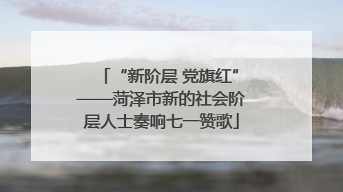 “新阶层 党旗红”——菏泽市新的社会阶层人士奏响七一赞歌